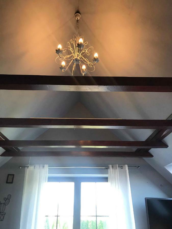 Apartament Studio I Apartament Zadomek Spytkowice Kolo Zatora المظهر الخارجي الصورة